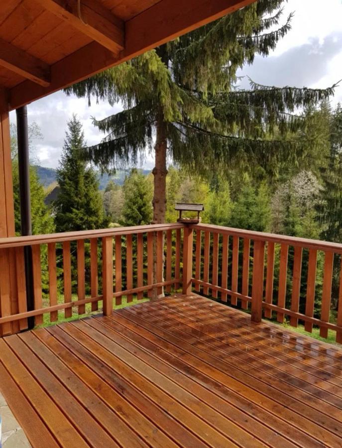 Gierkowka - Gorska Rezydencja Pierwszego Sekretarza Zwardoń Exteriér fotografie