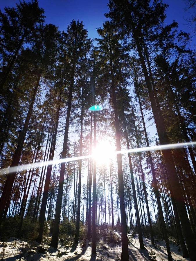Gierkowka - Gorska Rezydencja Pierwszego Sekretarza Zwardoń Exteriér fotografie