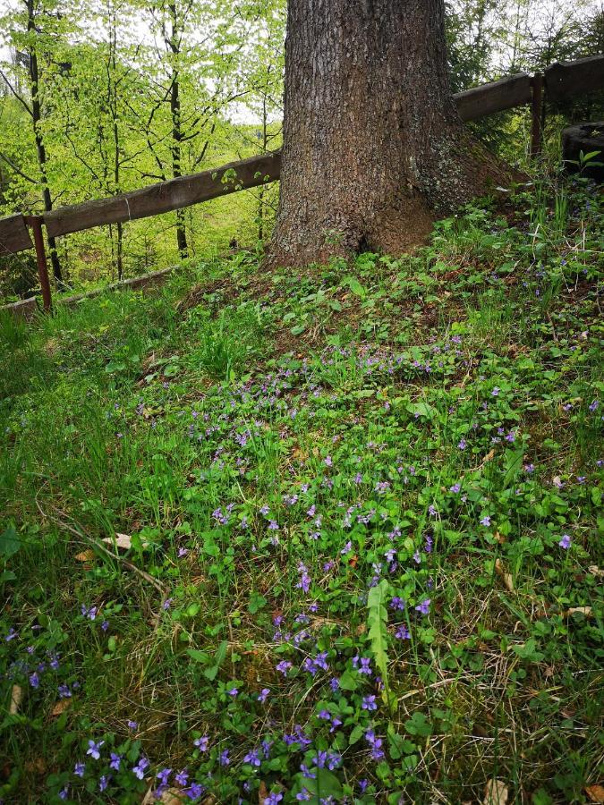 Gierkowka - Gorska Rezydencja Pierwszego Sekretarza Zwardoń Exteriér fotografie