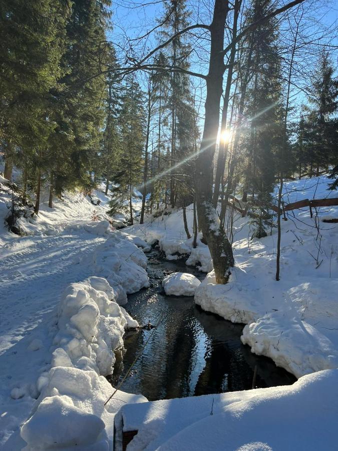 Gierkowka - Gorska Rezydencja Pierwszego Sekretarza Zwardoń Exteriér fotografie