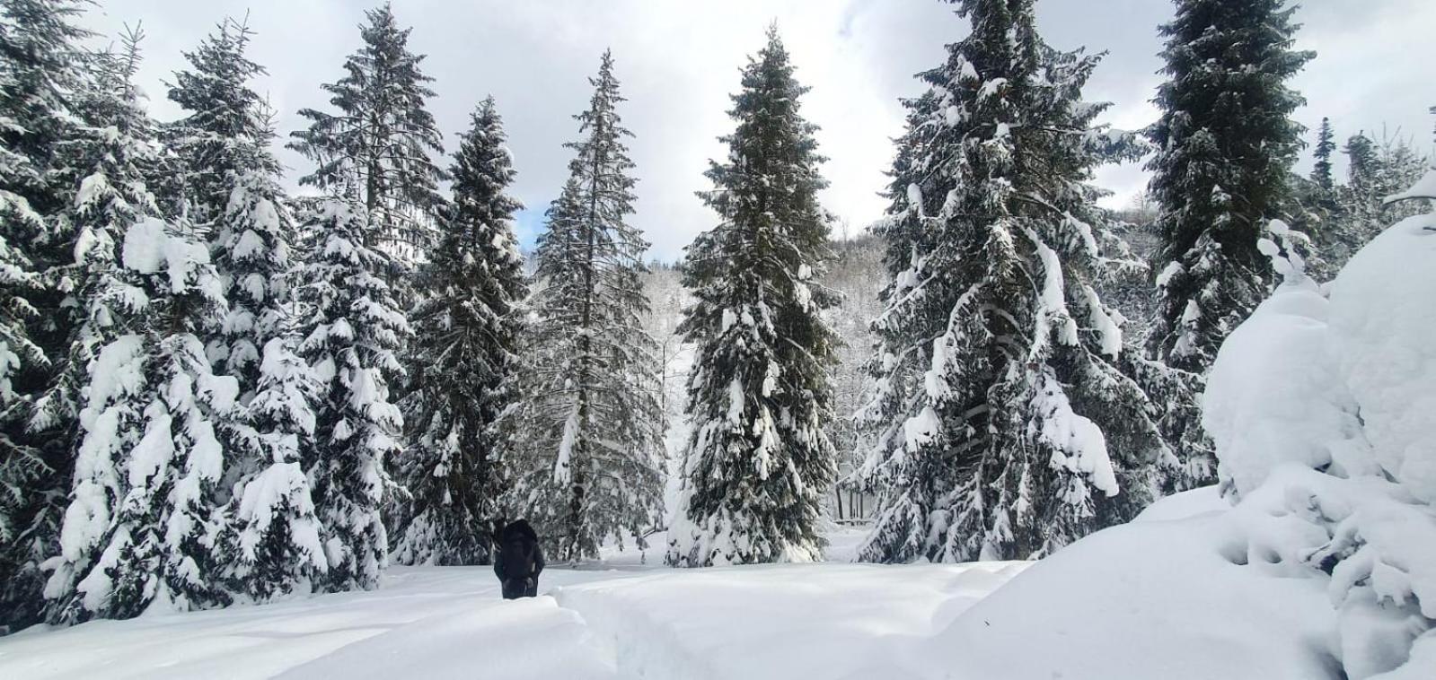 Gierkowka - Gorska Rezydencja Pierwszego Sekretarza Zwardoń Exteriér fotografie